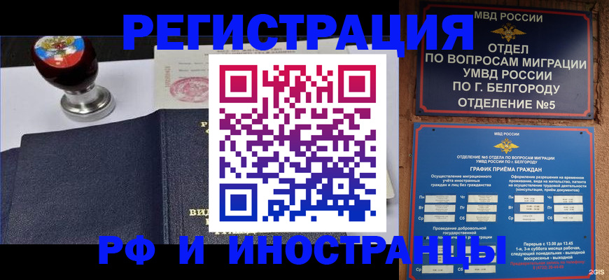 временная регистрация поиск в Снежногорске